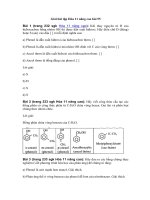 Tải Giải bài tập Hóa 11 nâng cao bài 55 - Phenol