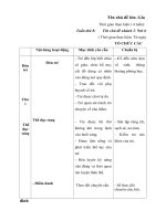 giáo an tuần 8 năm học 2018-2019