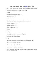 Tải Giải Cùng em học Tiếng Việt lớp 5 tuần 8: Đề 2 - Giải bài tập Cùng em học Tiếng Việt 5 tập 1