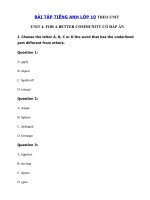 Tải Trắc nghiệm Ngữ âm tiếng Anh lớp 10 Unit 4 For A Better Community - Tiếng Anh 10 Unit 4 For a better community| Bài tập tiếng Anh Unit 4 lớp 10 mới có đáp án