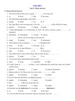 Tải Bài tập Tiếng Anh lớp 7 Unit 4 Music and Arts (số 2) - Bài tập Tiếng Anh 7 theo từng unit