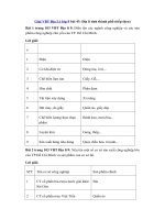 Tải Giải VBT Địa Lý lớp 9 bài 43: Địa lí tỉnh thành phố (tiếp theo) - Giải vở bài tập Địa Lí 9 bài 43