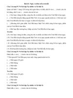 Tải Giải vở bài tập môn Tự nhiên xã hội 3 bài 63: Ngày và đêm trên Trái Đất - Hướng dẫn giải VBT Tự nhiên và xã hội lớp 3