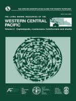 The living marine resources of the western central pacific  edited by kent e  carpenter and volker h  niem 