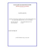 Nghiên cứu ổn định và biến dạng của công trình đường vào cầu trong điều kiện đất yếu và lũ lụt ở đồng bằng sông cửu long 
