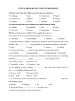 Tải Kiểm tra Tiếng Anh lớp 10 Unit 9 Preserving The Environment số 2 - Ôn tập Tiếng Anh lớp 10 theo từng Unit
