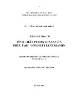 Luan van Nguyen Thi Thanh Thuy