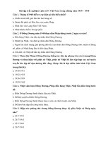 Tải Bài tập trắc nghiệm Lịch sử 9: Việt Nam trong những năm 1939 - 1945 - Câu hỏi trắc nghiệm Lịch sử 9 - Bài 21 có đáp án