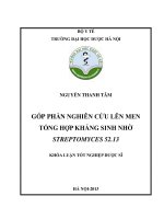 Góp phần nghiên cứu lên men tổng hợp kháng sinh nhờ streptomyces 52 13​ 