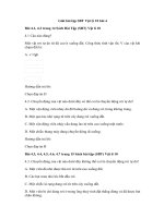 Tải Giải bài tập SBT Vật lý 10 bài 4 - Sự rơi tự do