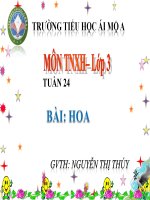 Tuần 24 - Bài: Hoa