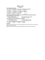 Download Đề kiểm tra 1 tiết kì 2 sử 9