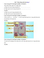 Tải Giải vở bài tập môn Tự nhiên xã hội 3 bài 7: Hoạt động tuần hoàn - Hướng dẫn giải VBT Tự nhiên và xã hội lớp 3