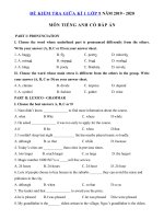 Tải Đề thi giữa kì 1 lớp 9 môn tiếng Anh trường TH& THCS Tân Phong năm 2019 - 2020 - Đề kiểm tra tiếng Anh 9 có đáp án
