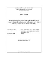 Nghiên cứu ứng dụng cọc khoan nhồi dưới công trình cầu lớn trong điều kiện đất yếu ở khu vực đồng bằng sông cửu long 