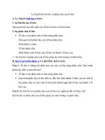 Tải Lý thuyết Sinh học lớp 6 bài 8 - Sự lớn lên và phân chia của tế bào