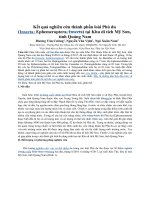 Kết quả nghiên cứu thành phần loài Phù du  (Insecta - Ephemeroptera, Insecta) tại Khu di tích Mỹ Sơn,  tỉnh Quảng Nam