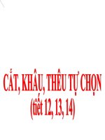 Kỹ thuật - Lớp 5- Tuần 14 - Bai 9 Cat khau theu hoac nau an tu chon