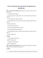 Tải Giải Vở bài tập Khoa học 4 bài 48: Ánh sáng cần cho sự sống (tiếp theo) - Giải sách bài tập Khoa học lớp 4 tập 2