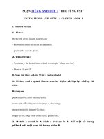 Tải Unit 4 lớp 7 A closer look 1 - Tiếng Anh 7 Unit 4 Music and Art| Giải bài tập SGK tiếng Anh 7 mới Unit 4 A closer look 1