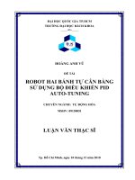 Robot hai bánh tự cân bằng sử dụng bộ điều khiển pid auto   tuning  