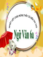 Ngữ văn 6 - Tiết 33: NGÔI KỂ VÀ LỜI KỂ TRONG VĂN TỰ SỰ