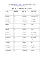 Tải Từ vựng Unit 1 lớp 9 A visit from a pen pal - Từ vựng tiếng Anh lớp 9 Unit 1 đầy đủ nhất