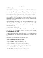 Tải Giải bài tập Ngữ văn lớp 8 bài 24: Nước Đại Việt ta - Giải bài tập Ngữ văn lớp 8 bài 24 SGK