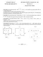 Download Đề thi HSG khối 11 môn vật lý 11