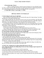 học trực tuyến môn văn  ttgdnngdtx quận 4