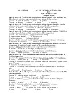 Tải Đề thi thử THPT Quốc gia môn Tiếng Anh năm 2017 có đáp án + giải thích chi tiết (Đề luyện 10) - Đề thi Đại học môn Tiếng Anh năm 2017 có đáp án