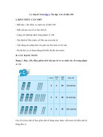 Tải Lý thuyết Toán lớp 1: Ôn tập: Các số đến 100 - Lý thuyết môn Toán 1