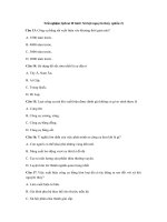 Tải Trắc nghiệm Lịch sử 10 bài 2: Xã hội nguyên thủy (phần 2) - Trắc nghiệm Lịch sử 10 bài 2 phần 2 có đáp án