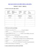 Tải Bài tập cuối tuần môn Tiếng Anh lớp 4 Tuần 17 - Phiếu Bài tập cuối tuần lớp 4 môn tiếng Anh có đáp án