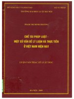 Chế tài pháp luật   một số vấn đề lý luận và thực tiễn ở việt nam hiện nay  
