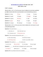 Tải Đề thi học kì 1 lớp 10 môn Tiếng Anh năm học 2018 - 2019 trường THPT Nguyễn Trãi - Đề kiểm tra học kì 1 môn Tiếng Anh lớp 10 có đáp án