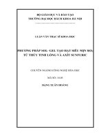 Phương pháp Sol gel tạo hạt siêu mịn SiO2 từ thuỷ tinh lỏng và axit sunfuric