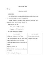 Tải Giáo án Tiếng Việt 5: Tập đọc - Nghìn năm văn hiến - Giáo án Tập đọc lớp 5