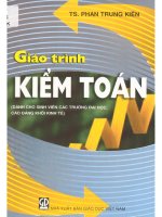 Giáo trình kiểm toán   dành cho sinh viên các trường đh, cđ khối kinh tế  phan trung kiên 