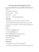 Tải Giải Cùng em học Tiếng Việt lớp 5 tuần 2: Đề 2 - Giải bài tập Cùng em học Tiếng Việt 5 tập 1