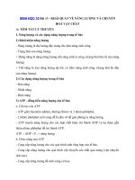 Tải Tóm tắt lý thuyết Sinh học 10 bài 13 - Khái quát về năng lượng và chuyển hoá vật chất