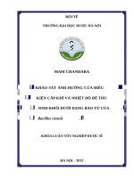Khảo sát ảnh hưởng của điều kiện cấp khí và nhiệt độ để thu sinh khối dưới dạng bào tử của bacillus clausii​ 
