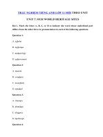 Tải Trắc nghiệm Ngữ âm tiếng Anh lớp 11 Unit 8 Our World Heritage Sites - Bài tập Tiếng Anh 11 mới theo từng Unit có đáp án