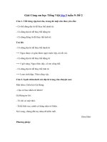 Tải Giải Cùng em học Tiếng Việt lớp 5 tuần 9: Đề 2 - Giải bài tập Cùng em học Tiếng Việt 5 tập 1