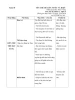 giáo an tuần 30 hiện tượng thời tiết và mùa