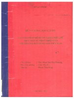 Các giải pháp để hoàn thiện thể chế thúc đẩy sự phát triển của thị trường bất động sản việt nam  