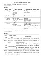 Tải Giải vở bài tập môn Tự nhiên xã hội 3 bài 34-35: Ôn tập và kiểm tra học kì 1 - Hướng dẫn giải VBT Tự nhiên và xã hội lớp 3