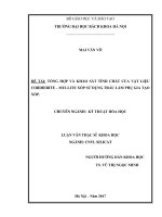 Tổng hợp và khảo sát tính chất của vật liệu Cordierite Mullite xốp sử dụng trấu làm phụ gia tạo xốp