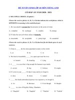 Tải Đề thi vào lớp 10 môn tiếng Anh sở GD&ĐT Hà Nội năm 2020 số 4 - Đề thi tuyển sinh lớp 10 môn Tiếng Anh Hà Nội có đáp án