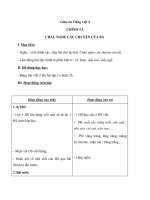  dấu ngã - Giáo án Chính tả lớp 4